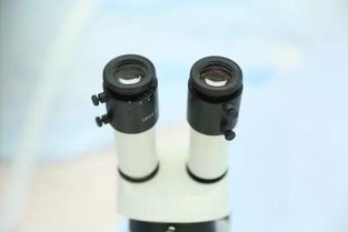 9月新疆，您不得不知的五大看點與保健器械建議